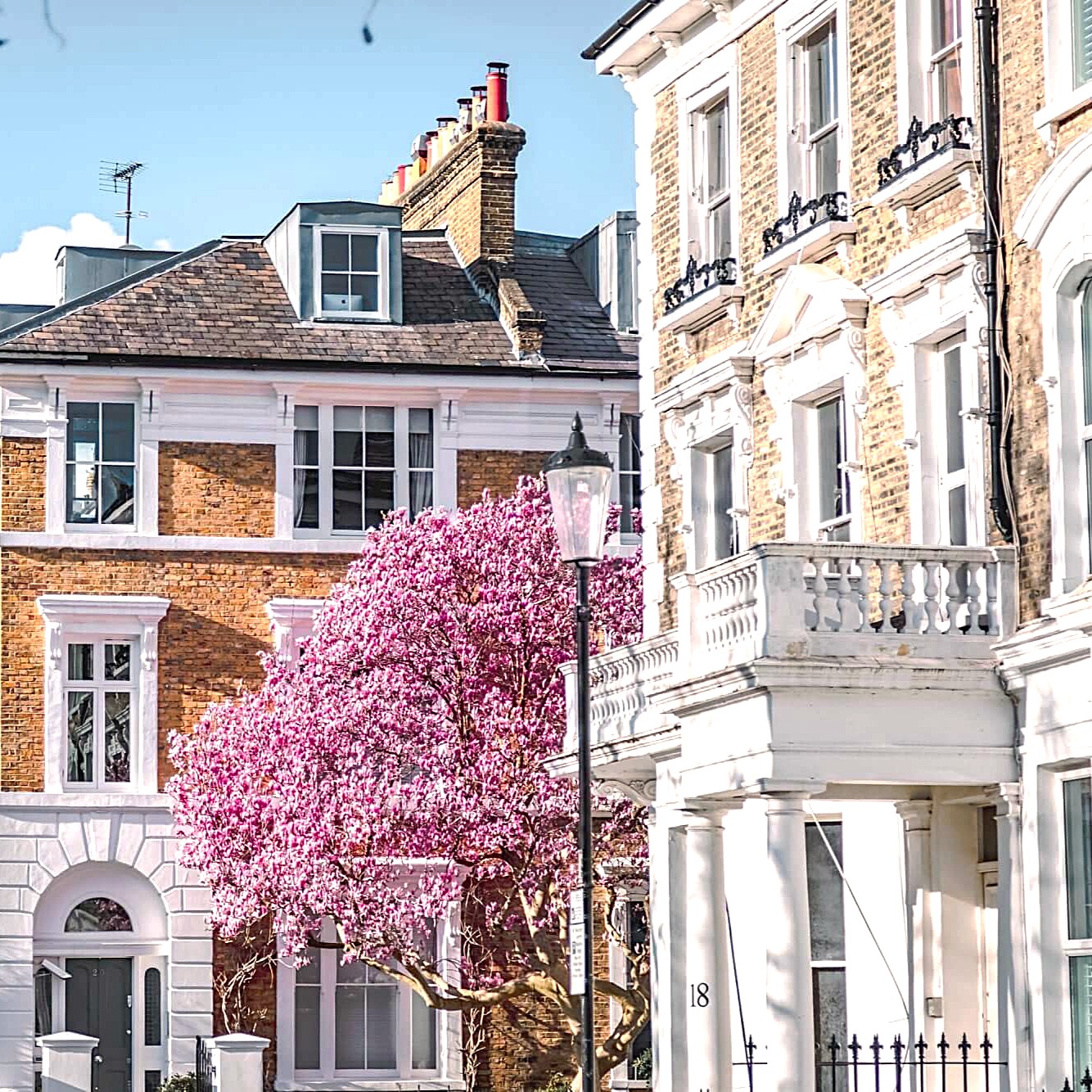 kensington-blossom-2000×1334 – Carré